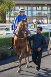 300926-Race 2-Gold Key-6044