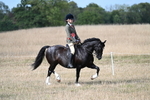 WJ7_7618