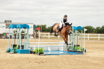 SBM_017715