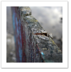Weathered fence detail