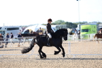 SBM_08780