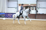 SBM_006001