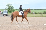 BPP_9329