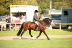 SBM_50163