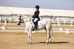 SBM_002637