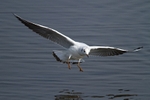 20120324-_MG_9817