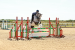 SBM_006446