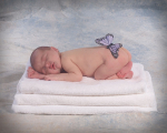 Willow 11