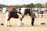 SBM_09290