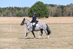 WJ6_8818