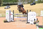 BPP_5653