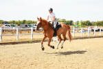 SBM_002997