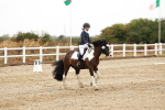 SBM_001495
