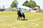SBM_16738