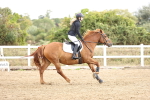 SBM_006446