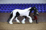 SBM_5488