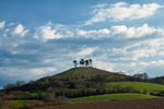 Colmers Hill, Dorset