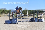 CLASS 13 SUN 148cm Pony Royal Highland Show Championship Qualifier portfolio