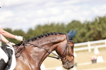 SBM_009858