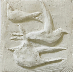 Nesting Terns