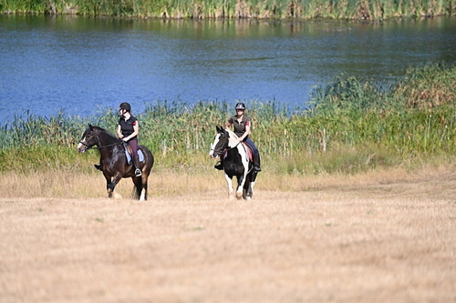 WJ6_8164