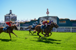 110725-Race 3-Bosa Nova-0274