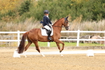 SBM_011487