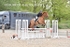 BPP_3974