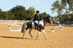 SBM_16442