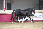 SBM_06551