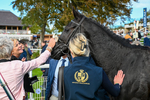 141023-Race 1-Purosangue-8725