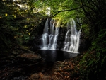 Northern Ireland portfolio