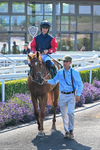 150726-Race 6-Our Absent Friends-3731