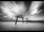 Last Groyne Standing
