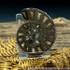 Cut & Polished Whitby Ammonite 050