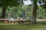 NGP_8528