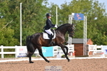 106-Victoria.Chappell-Keystone.Fair.Farren portfolio