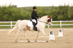 SBM_006537