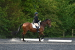 WJ5_8733