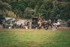 DSCF7113