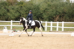 SBM_00882