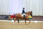 SBM_004259