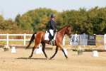 SBM_016493