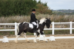 SBM_000929