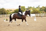SBM_009820