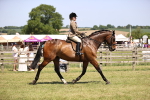SBM_17707