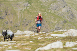 Duddon Long-128