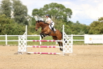 SBM_002955