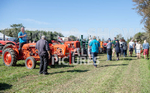 Guernsey Agricultural Show 2021-223