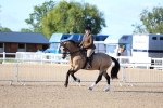 SBM_08870